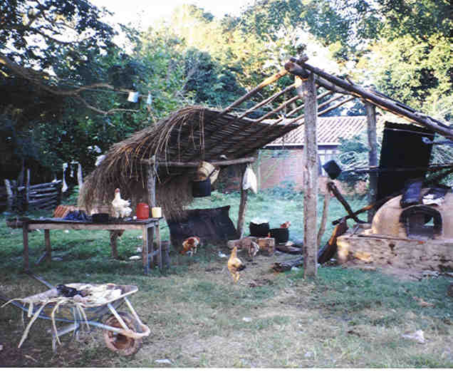 A Jungle Home in the Swamp Country