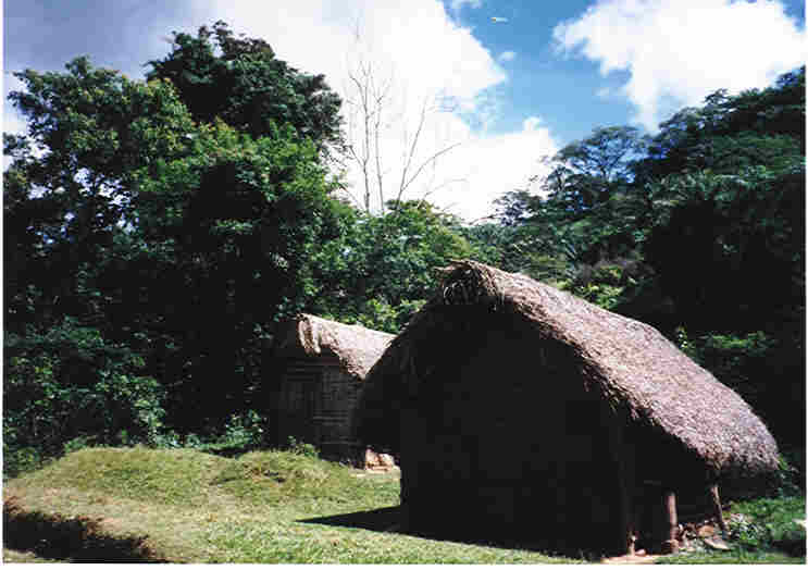 Up-Scale Home in Eastern Bolivia